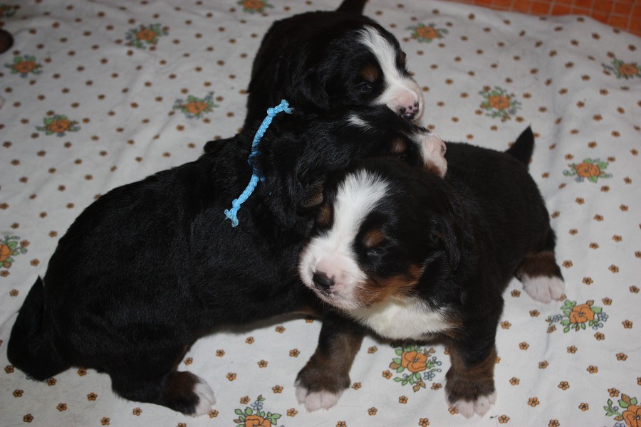 Galerie 2. týden momentky