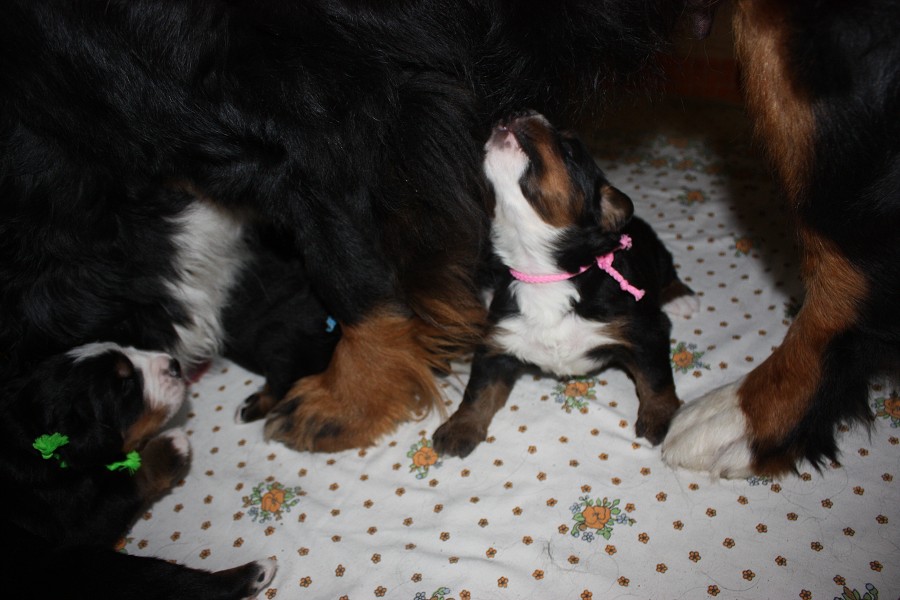 Galerie 2. týden momentky