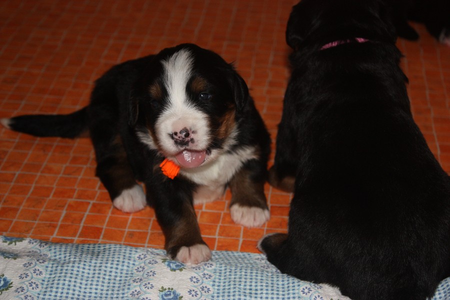 Galerie 3. týden momentky