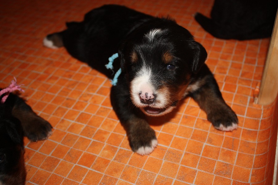 Galerie 3. týden momentky