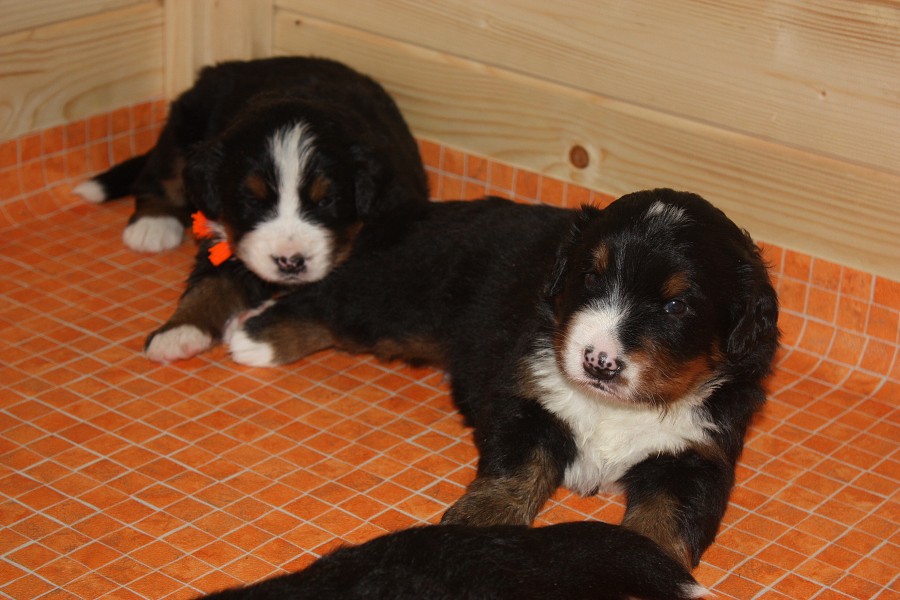 Galerie 3. týden momentky