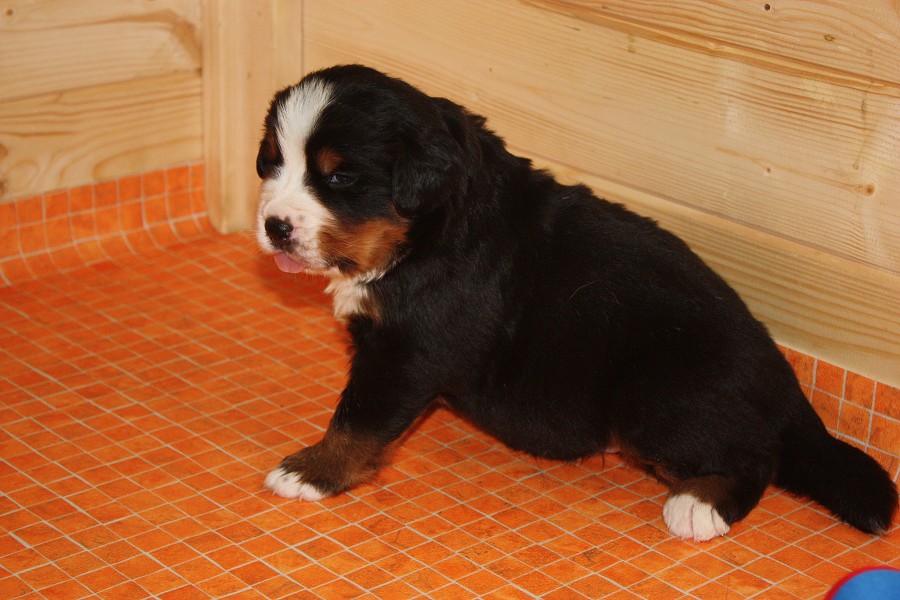 Galerie 3. týden momentky