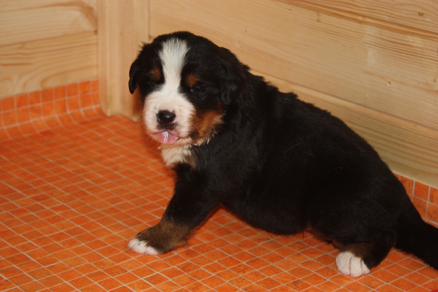 Galerie 3. týden momentky