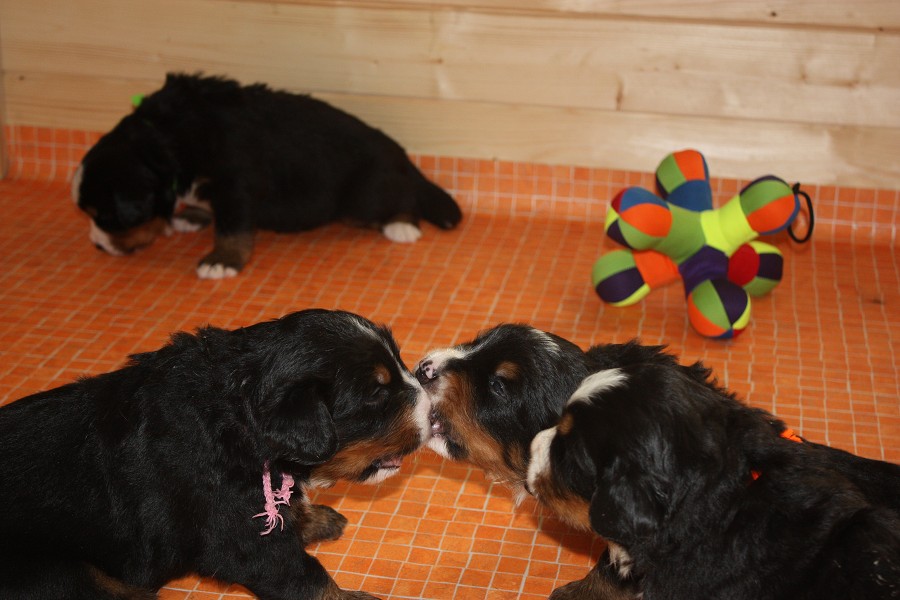 Galerie 3. týden momentky