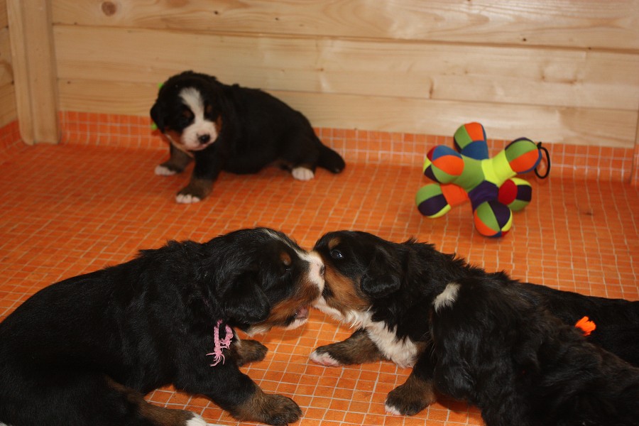 Galerie 3. týden momentky