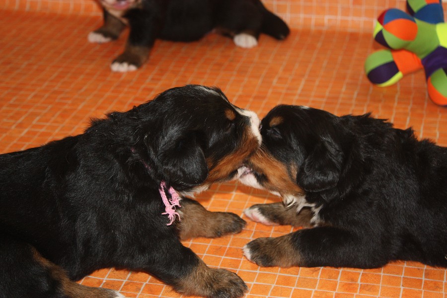 Galerie 3. týden momentky