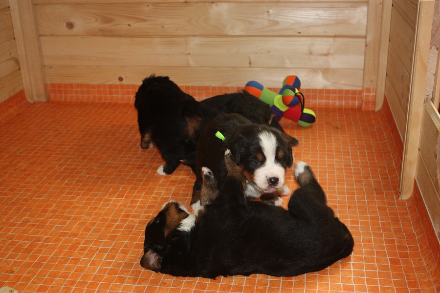 Galerie 3. týden momentky