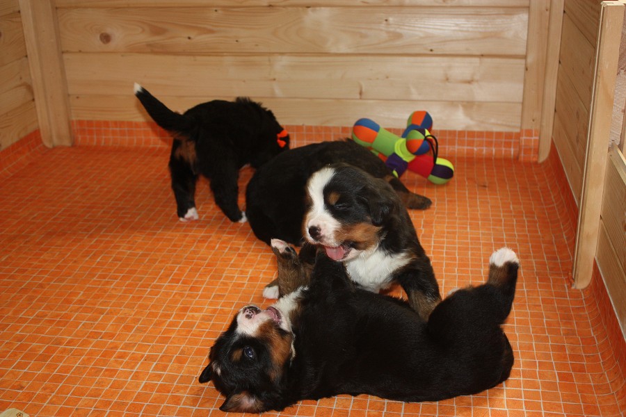 Galerie 3. týden momentky