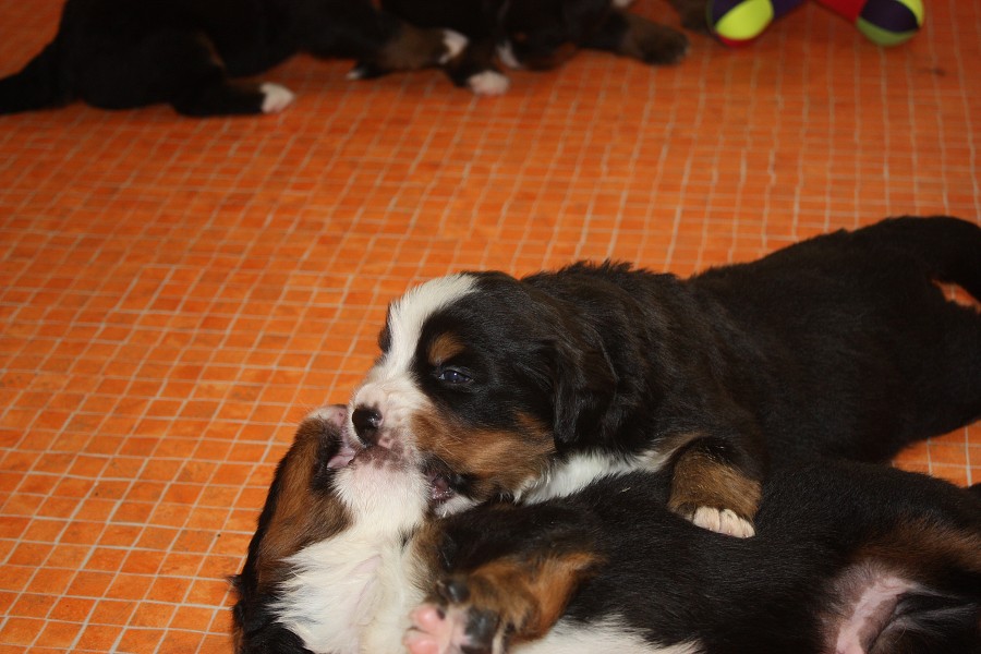 Galerie 3. týden momentky