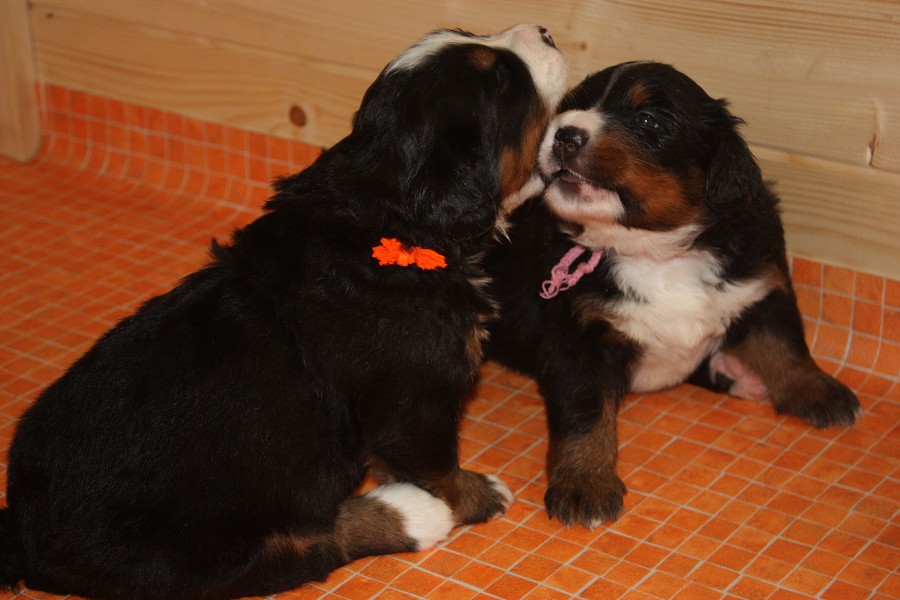 Galerie 3. týden momentky