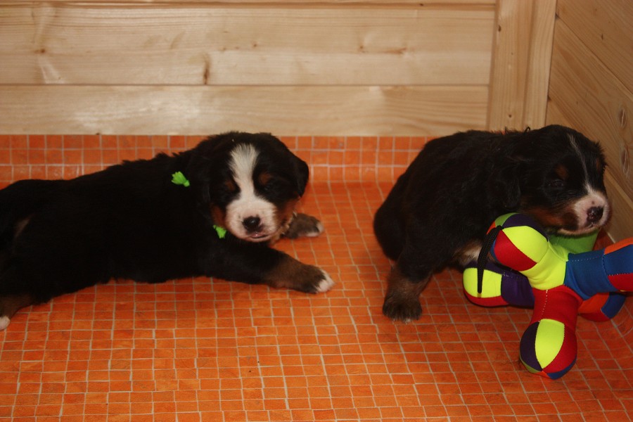 Galerie 3. týden momentky