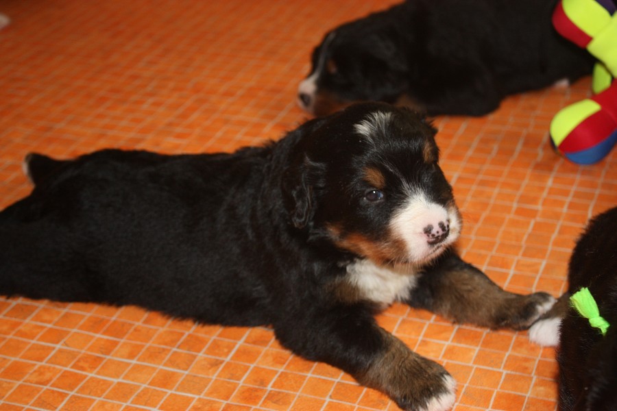 Galerie 3. týden momentky