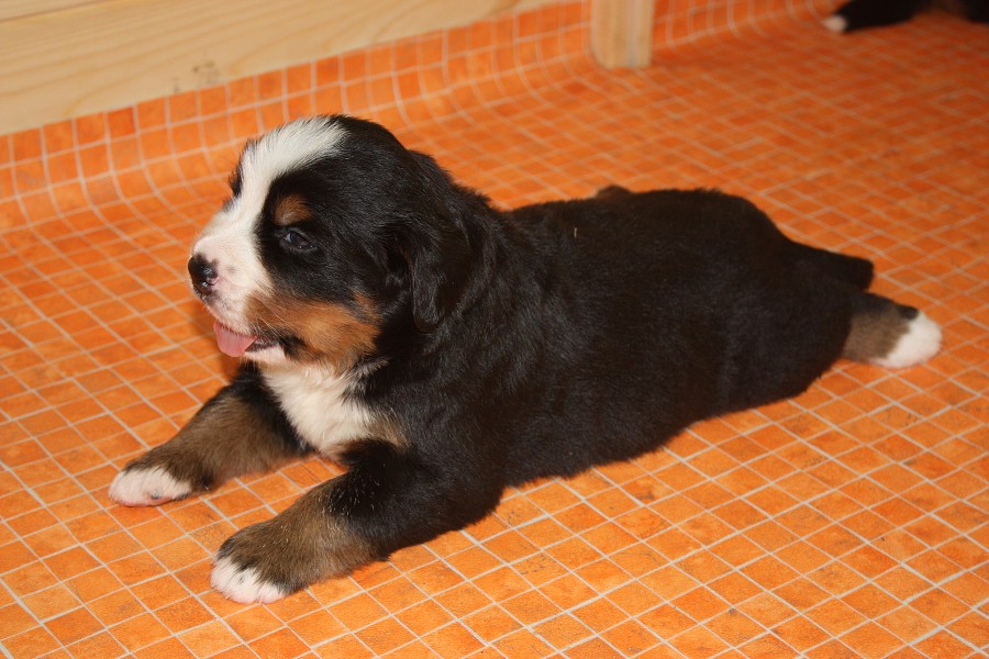 Galerie 3. týden momentky