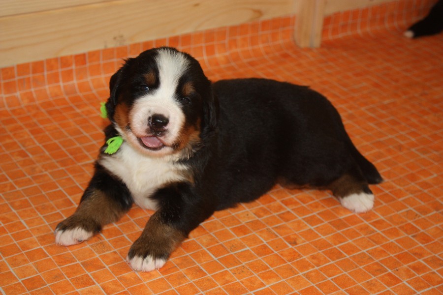 Galerie 3. týden momentky