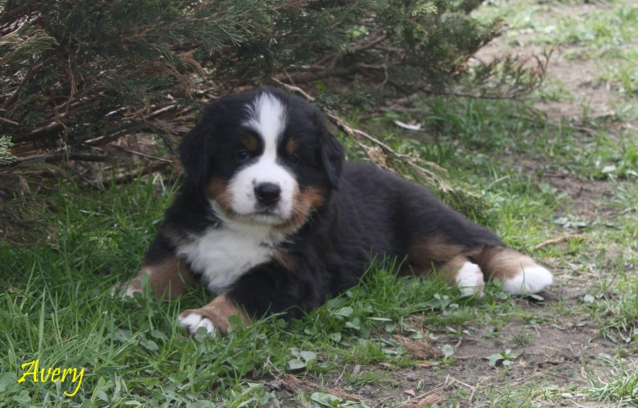 5. tyden galerie - momentky