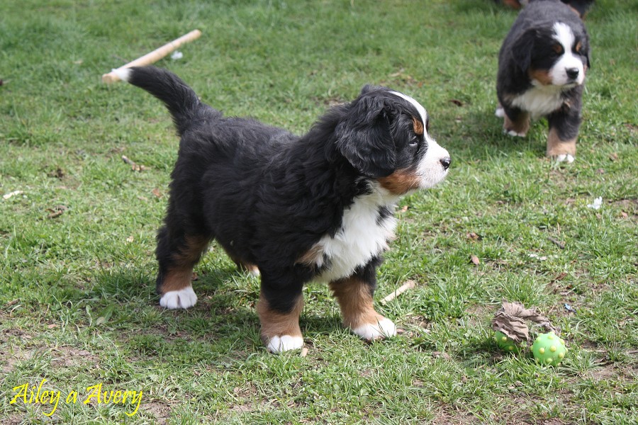 5. tyden galerie - momentky