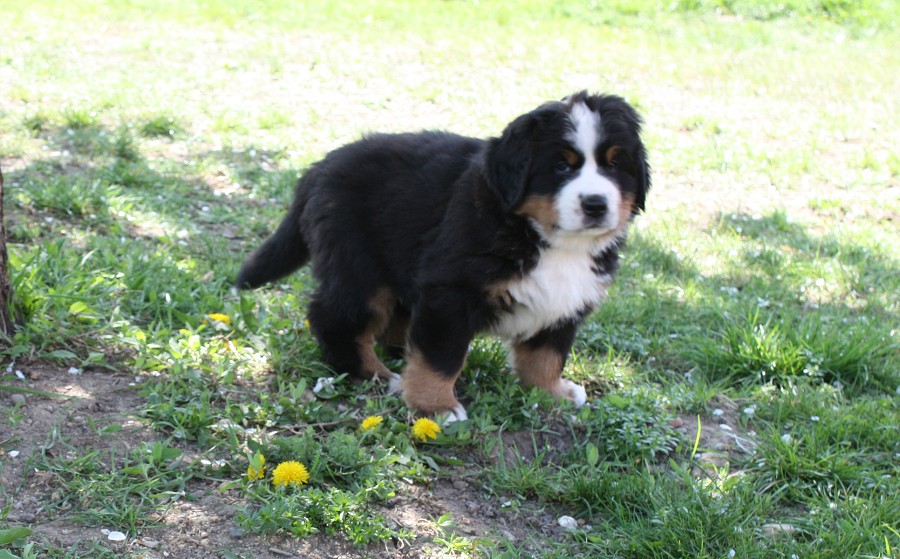 6. tyden galerie momentky