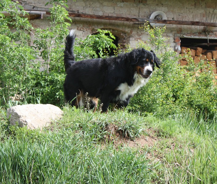 Galerie 8 tyden momentky