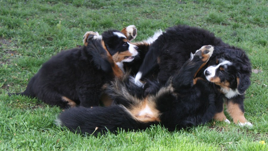 Galerie 8 tyden momentky