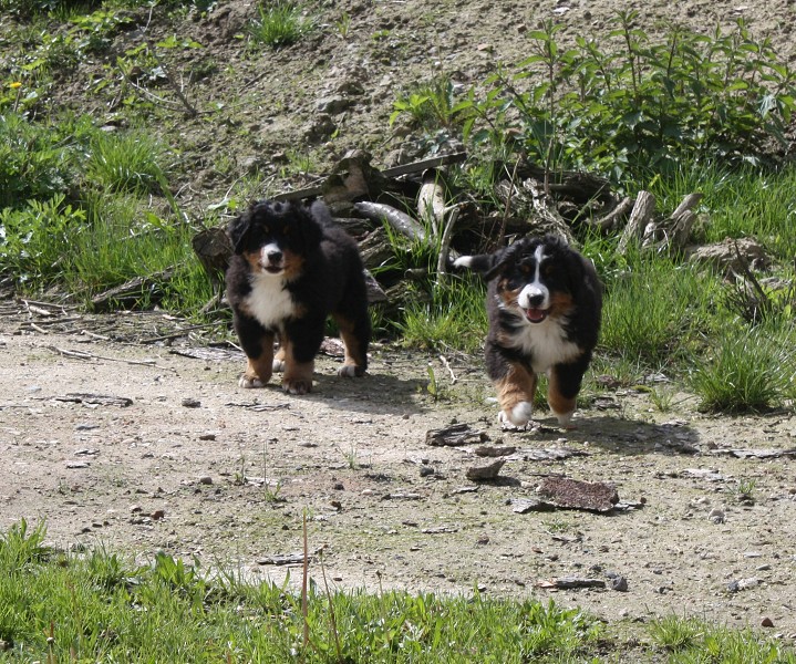 Galerie 8 tyden momentky