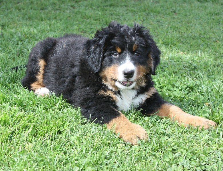 Galerie 8 tyden momentky