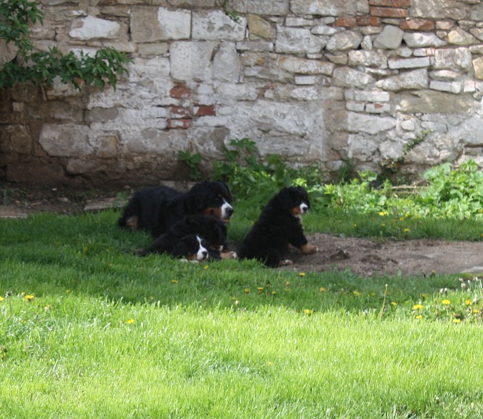 Galerie 8 tyden momentky