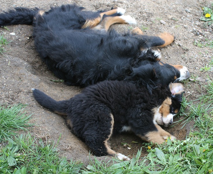 Galerie 8 tyden momentky