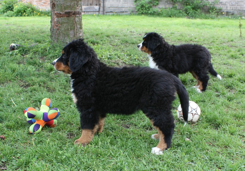 Galerie 8 tyden momentky