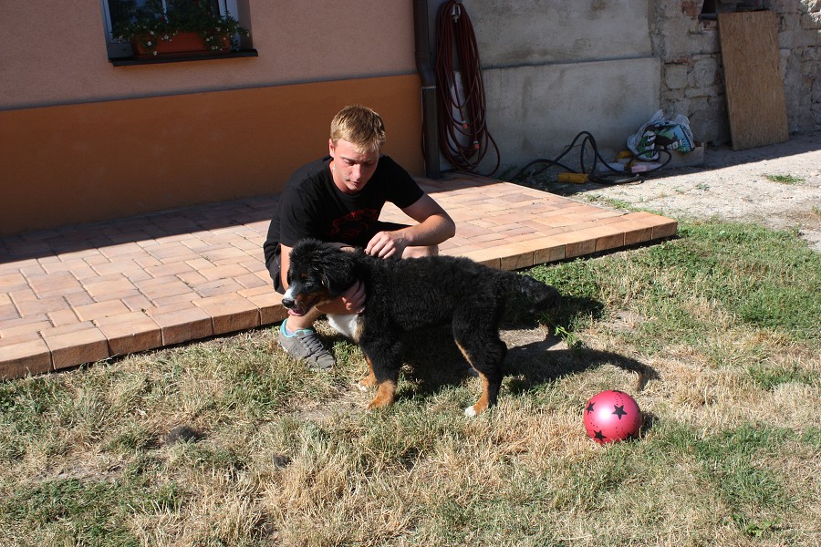 Sraz štěňátek - Anakin, Avery, Abby 