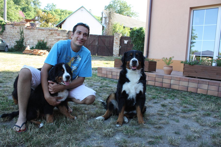 Sraz štěňátek - Anakin, Avery, Abby 