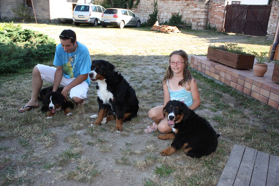 Sraz štěňátek - Anakin, Avery, Abby 