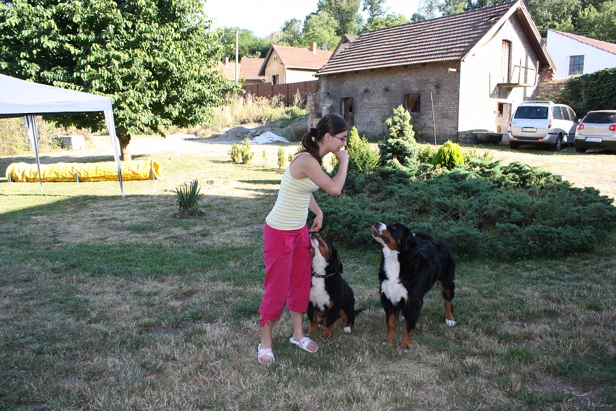 Sraz štěňátek - Anakin, Avery, Abby 
