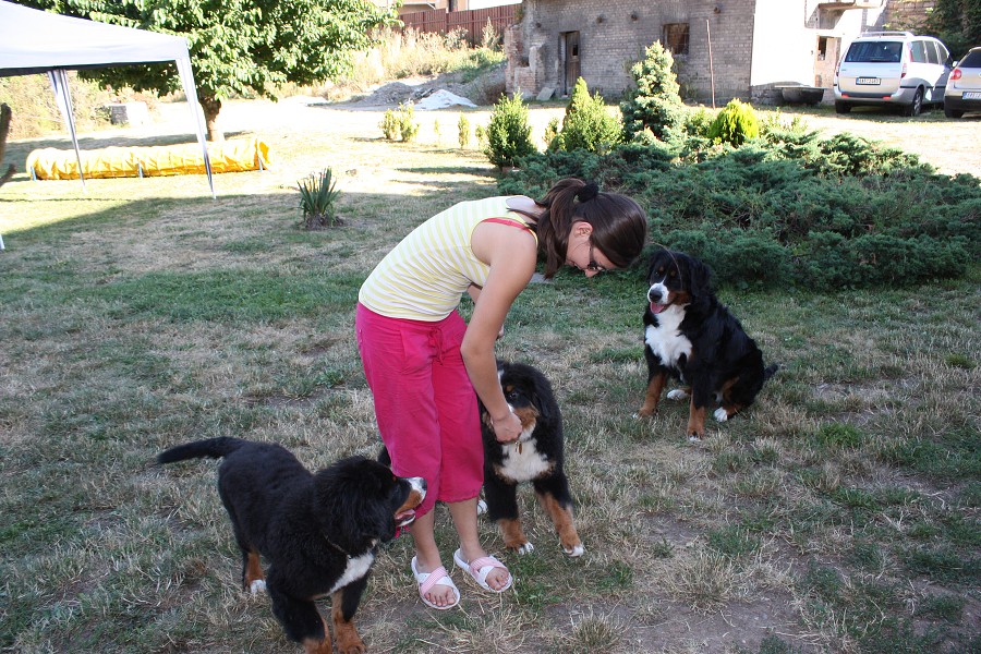 Sraz štěňátek - Anakin, Avery, Abby 