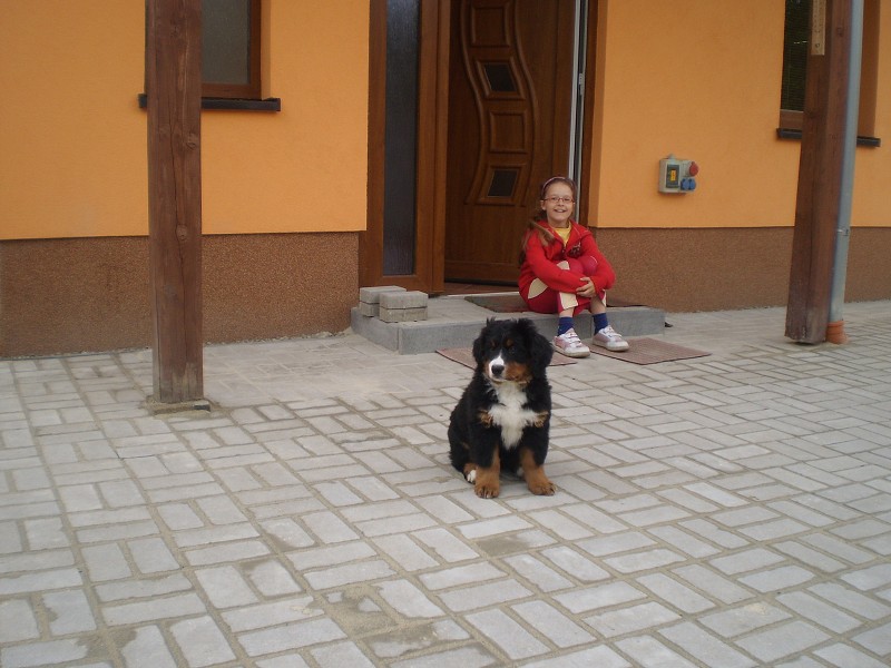 Abby 1 týden u nových páníčků