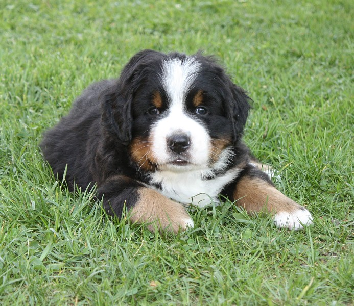 Vrh B - 5.tyden - blue boy