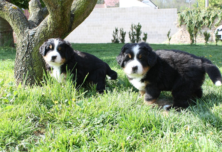 Vrh B - 5.tyden - girls