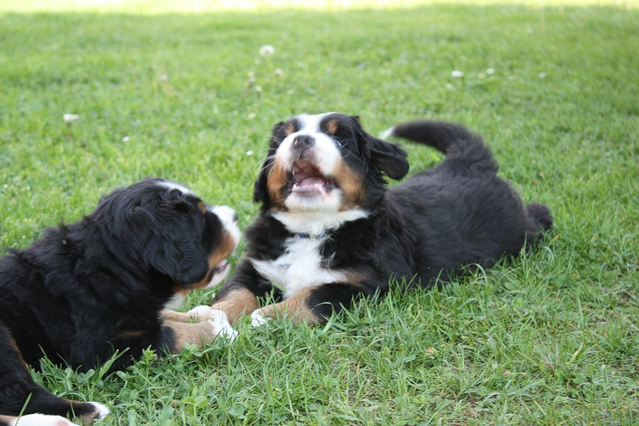 Vrh B - 5.tyden - boys´ chat