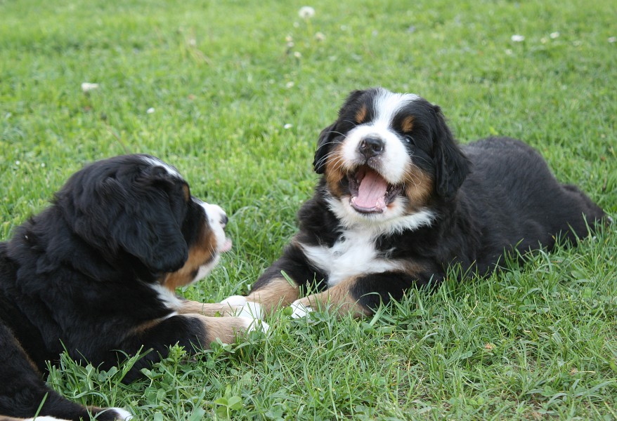 Vrh B - 5.tyden - boys´ chat