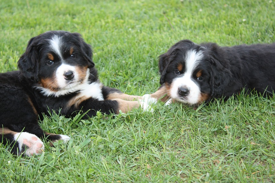 Vrh B - 5.tyden - boys´ chat