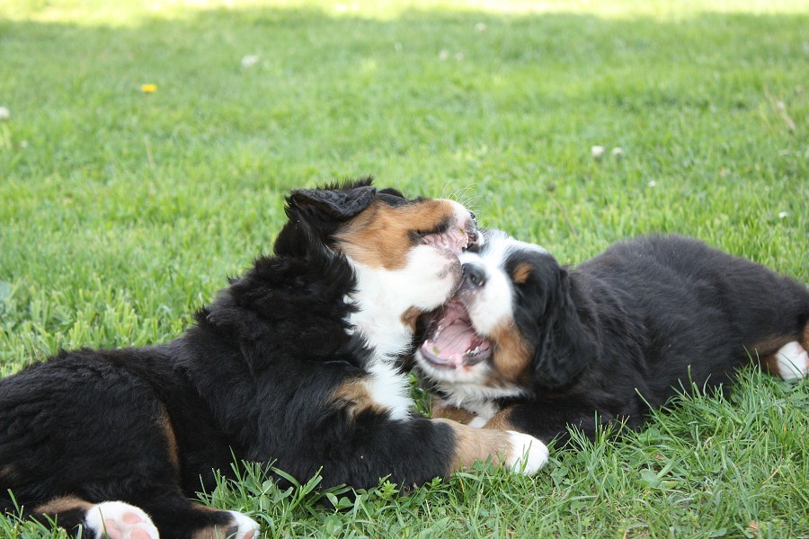 Vrh B - 5.tyden - boys´ chat