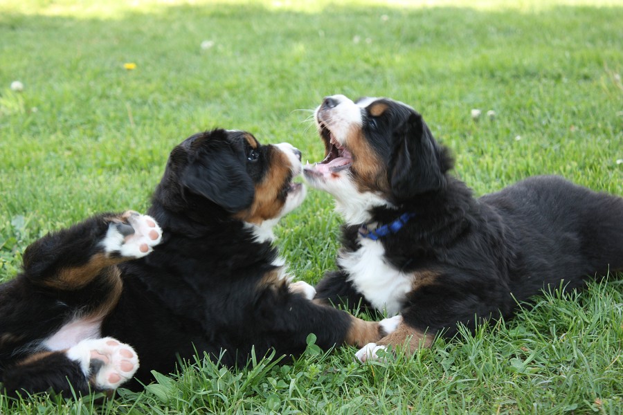 Vrh B - 5.tyden - boys´ chat