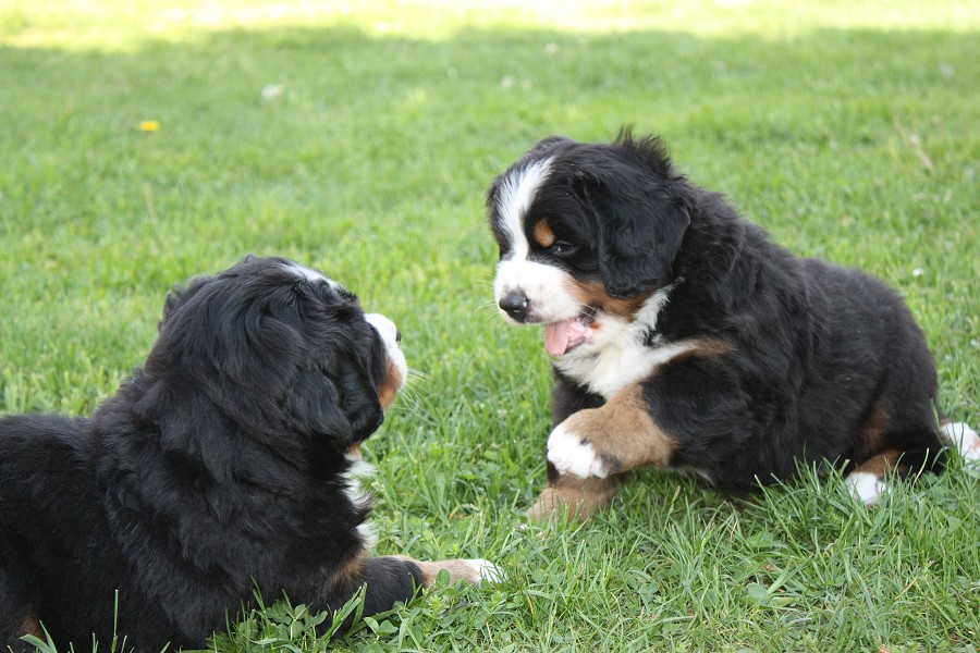 Vrh B - 5.tyden - boys´ chat