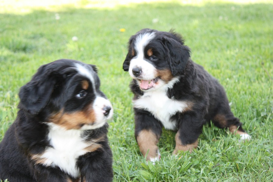 Vrh B - 5.tyden - boys´ chat