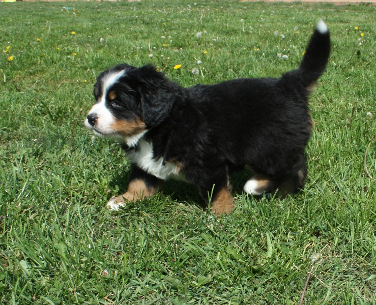 Vrh B - 5.tyden - momentky