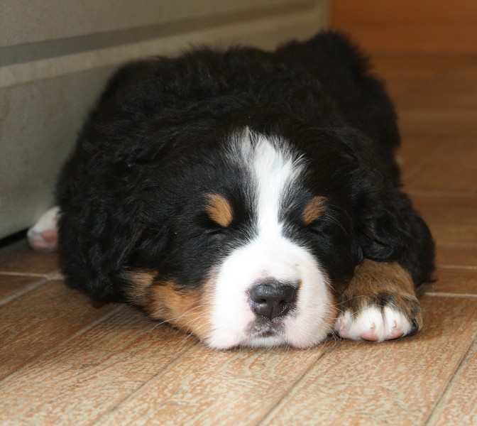 Vrh B - 5.tyden - momentky