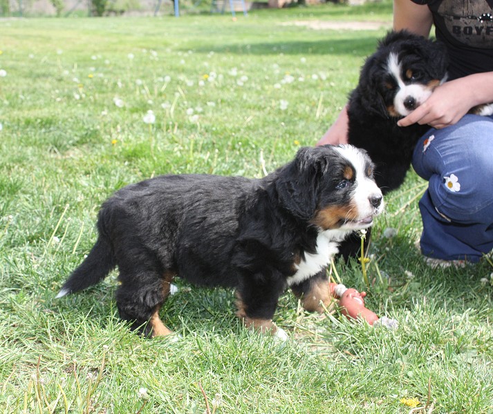 Vrh B - 5.tyden - momentky