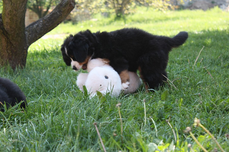 Vrh B - 6.tyden - garden moments