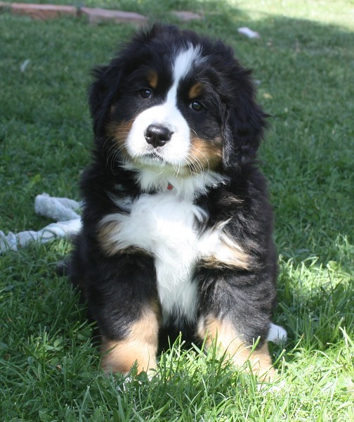 7. týden - Brionny Ruth Ladyca Bern