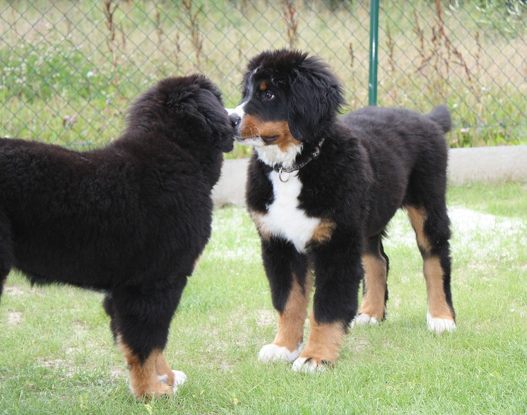 Návštěva s Rutynkou u Maxe 