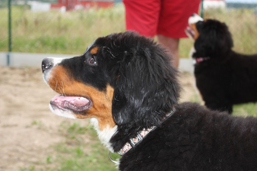Návštěva s Rutynkou u Maxe 